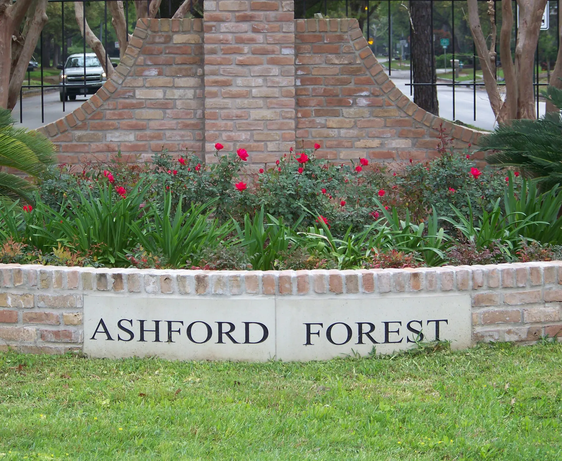 Ashford Community